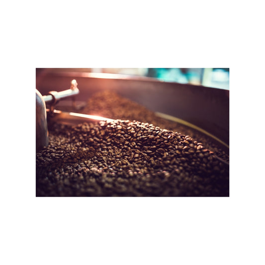 Coffee Roasting - The Basics